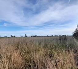 Terreno en venta en Oropesa, Castellón