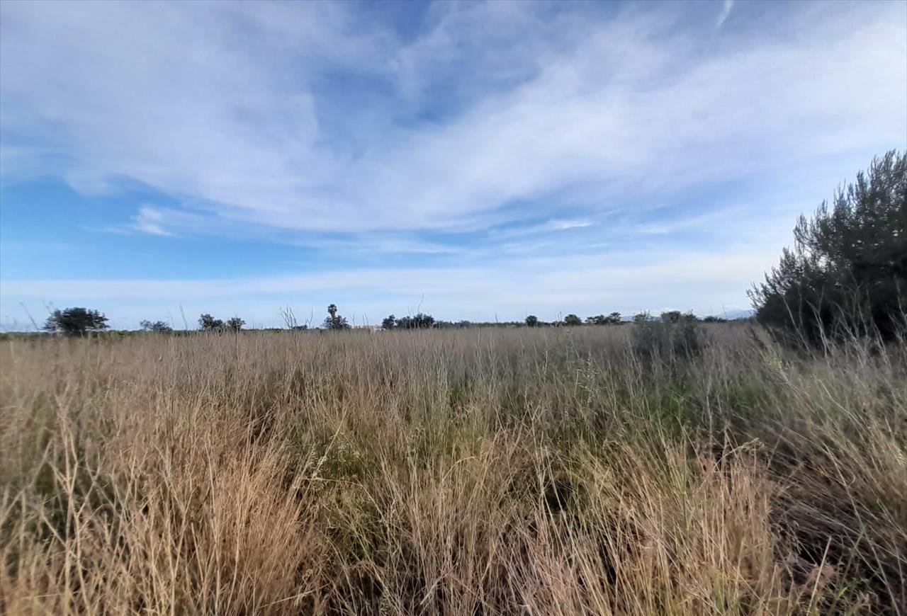 Terreno en venta en Oropesa, Castellón