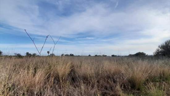 Terreno en venta en Oropesa, Castellón