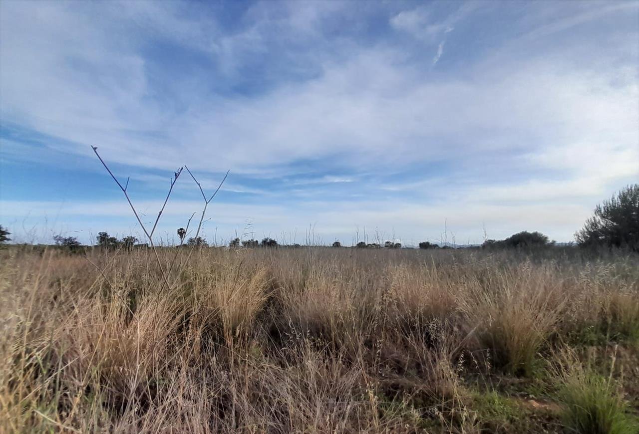 Terreno en venta en Oropesa, Castellón