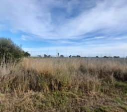 Terreno en venta en Oropesa, Castellón