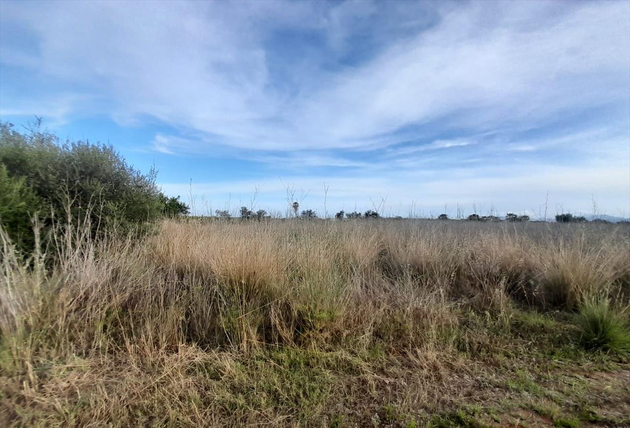 Terreno en venta en Oropesa, Castellón