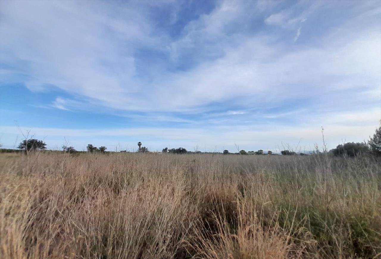 Terreno en venta en Oropesa, Castellón