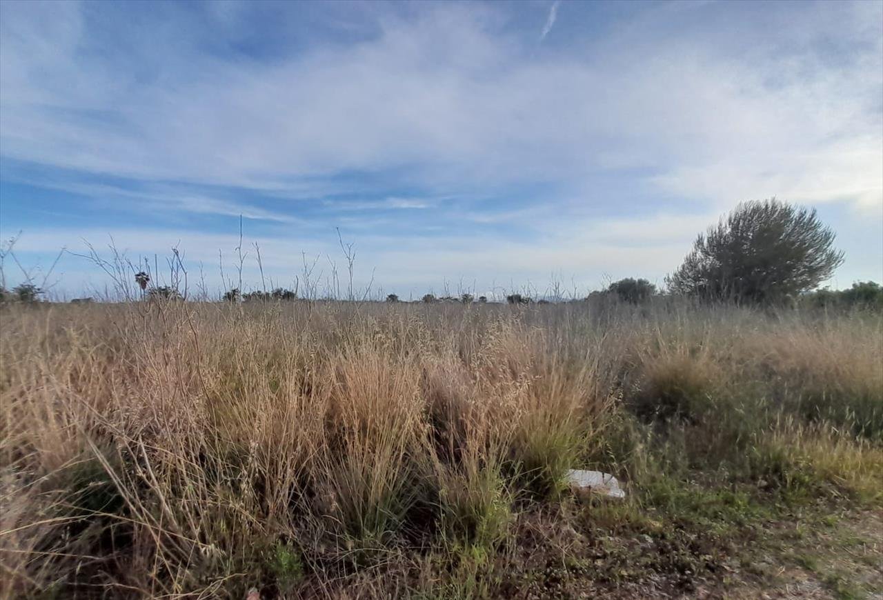 Terreno en venta en Oropesa, Castellón