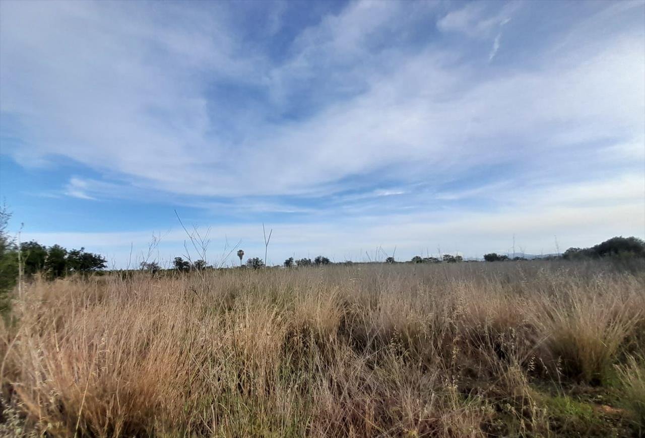 Terreno en venta en Oropesa, Castellón