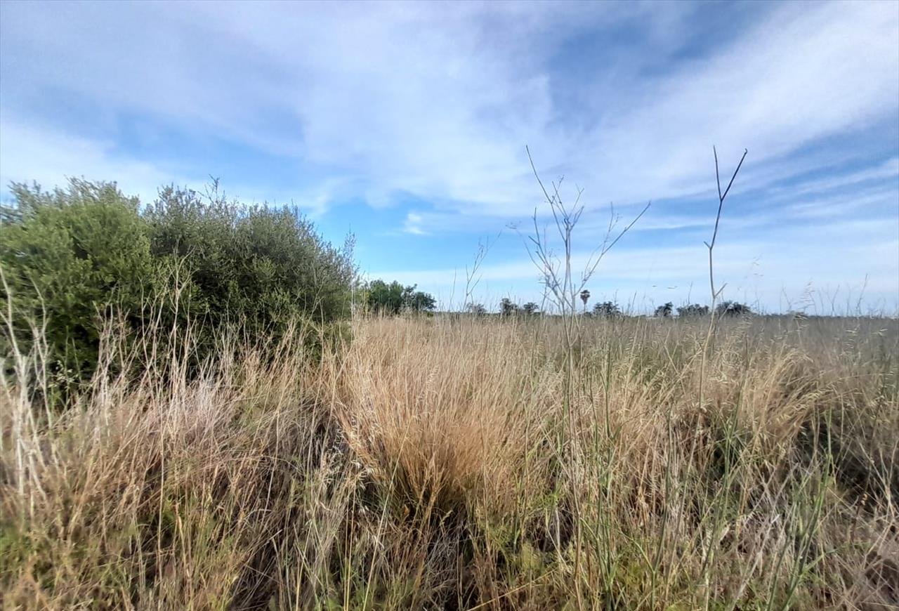 Terreno en venta en Oropesa, Castellón