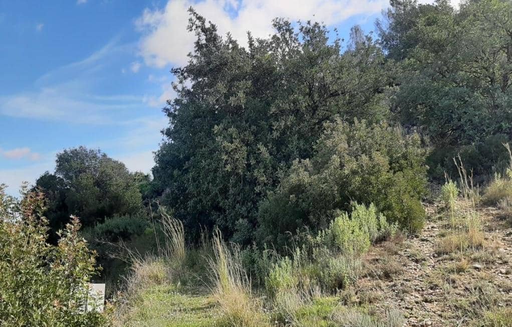No Urbanizable Rstico en venta  en Calle Poligono 3 Carrcola Valencia
