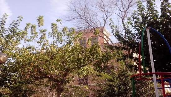 Otros en venta en CALLE POLO BERNABE, VILA-REAL
