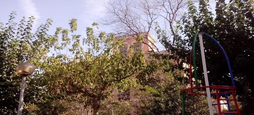 Otros en venta en CALLE POLO BERNABE, VILA-REAL
