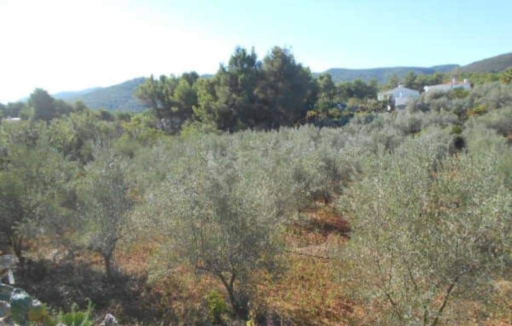 No Urbanizable Rstico en venta  en Polgono Poligon 1 Algimia De Alfara Valencia