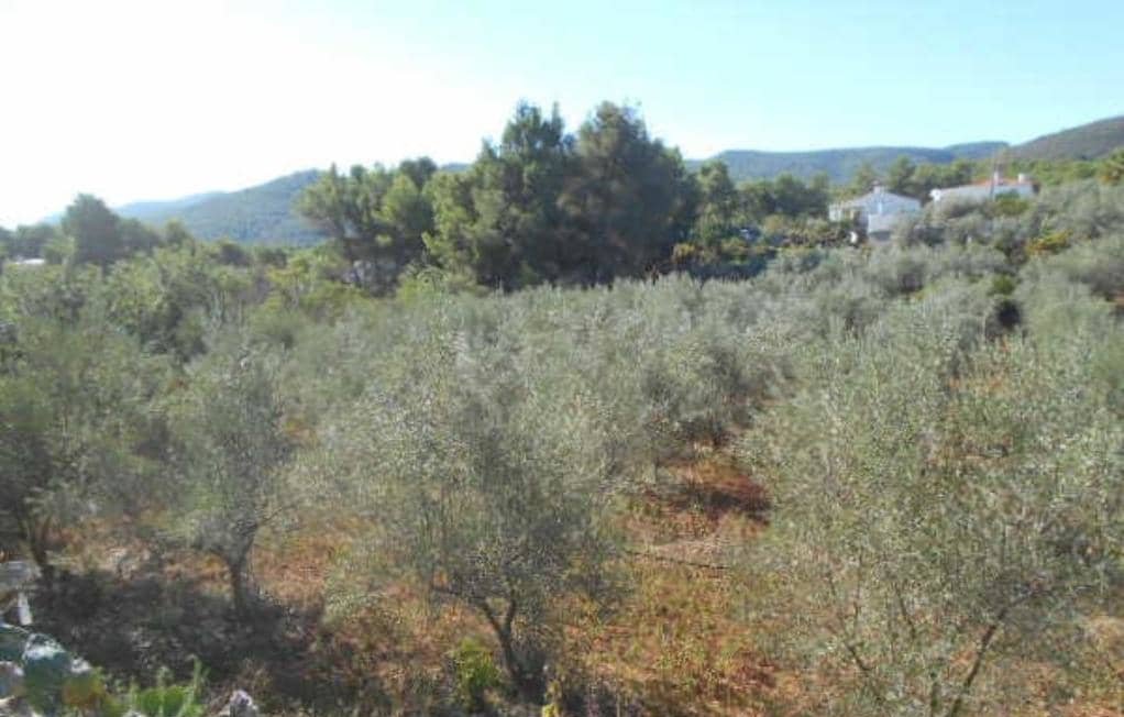 No Urbanizable Rstico en venta  en Polgono Poligon 1 Algimia De Alfara Valencia