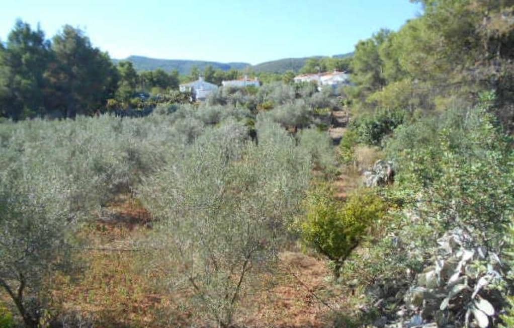No Urbanizable Rstico en venta  en Polgono Poligon 1 Algimia De Alfara Valencia