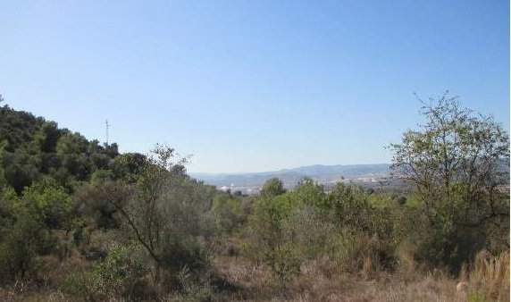 Suelos en Lg Mas de Canina, Sant Joan de Moró CastellónCastelló