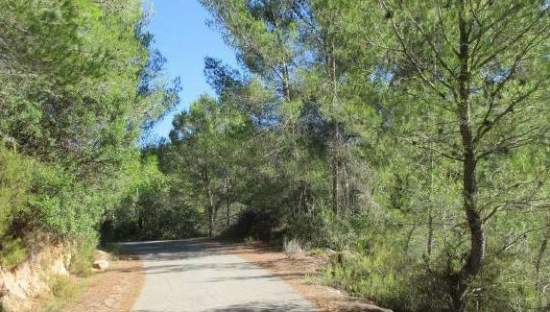 Suelos en Lg Mas de Canina, Sant Joan de Moró CastellónCastelló