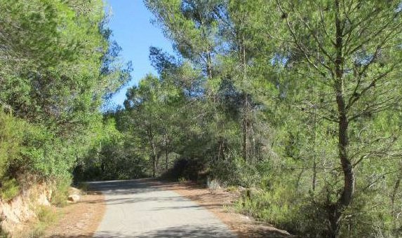 Suelos en Lg Mas de Canina, Sant Joan de Moró CastellónCastelló