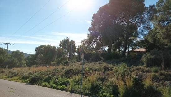 Venta de finca rstica por 24000 con 394m en calle poligono 35 parcela 13 Serra