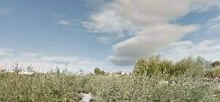No Urbanizable (Rústico) en venta  en Lugar Partida Del Llombo Al Raboser, Ontinyent, Valencia