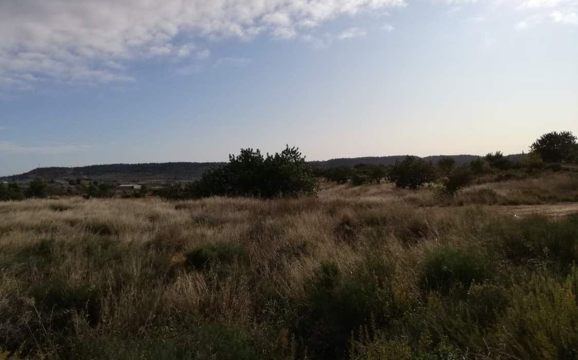 Solar en venta en Partida Solana Buol Valencia