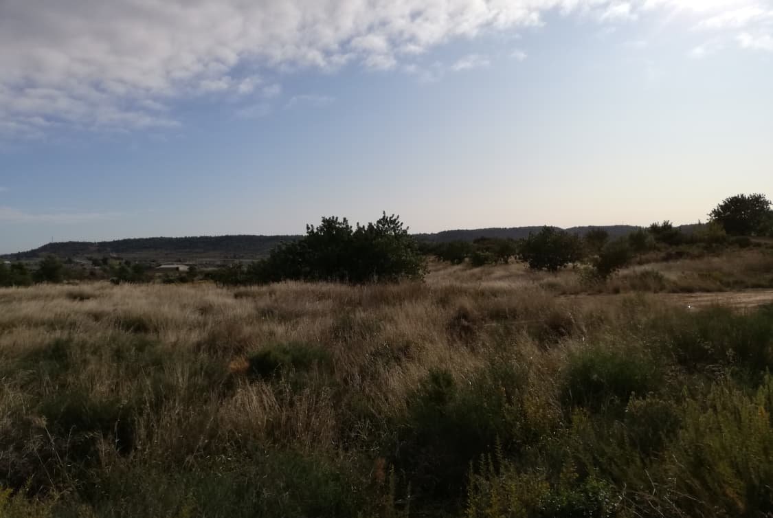 Solar en venta en Partida Solana Buol Valencia