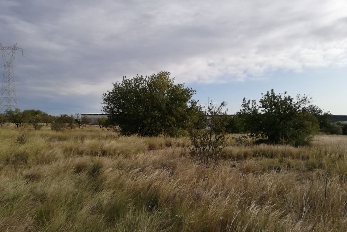 Solar en venta en Partida Solana Buol Valencia