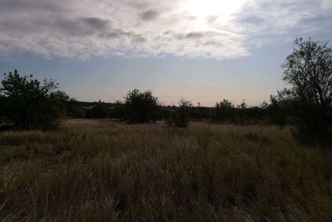 Solar en venta en Partida Solana Buol Valencia