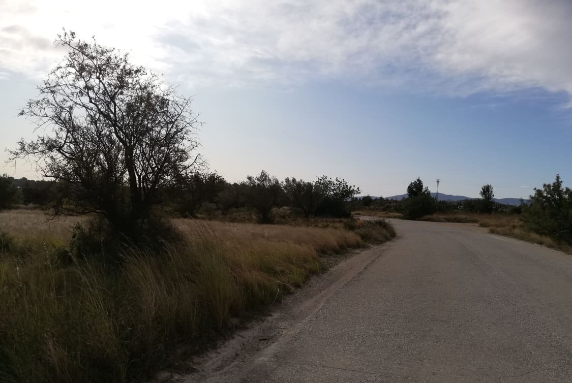 Solar en venta en Partida Solana Buol Valencia
