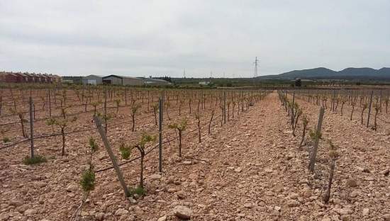 Urbanizable Programado en venta  en Calle Poligono Numero Tres Caudete De Las Fuentes Valencia