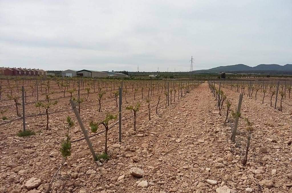 Urbanizable Programado en venta  en Calle Poligono Numero Tres Caudete De Las Fuentes Valencia