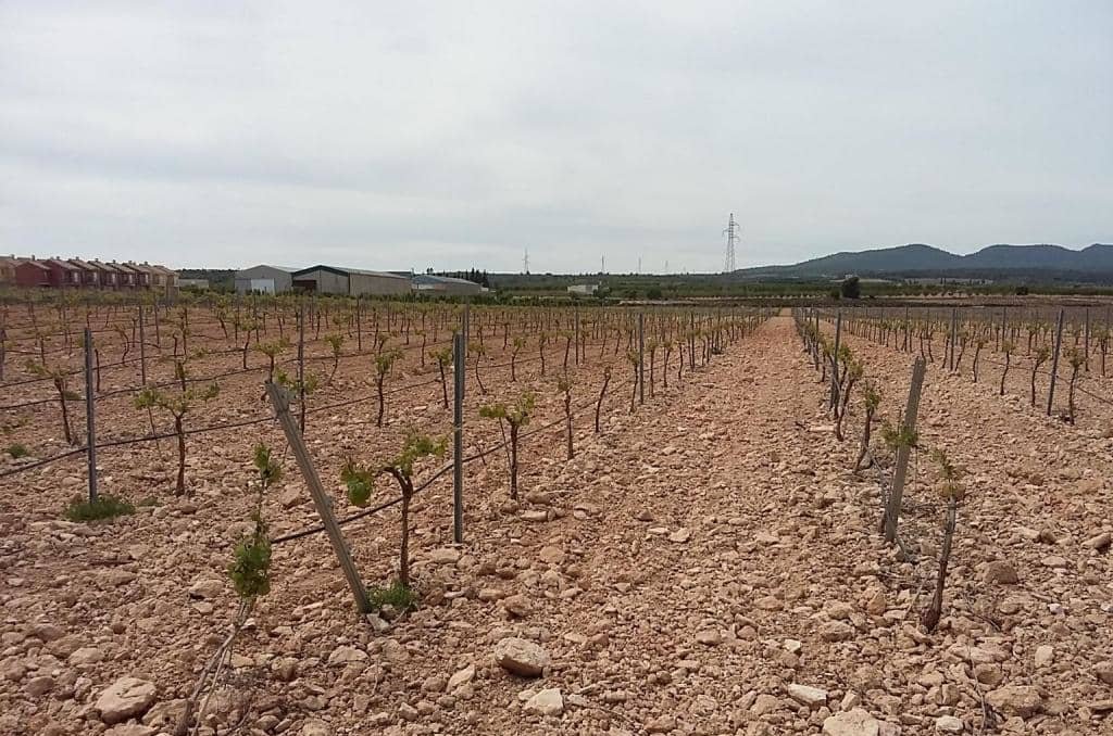Urbanizable Programado en venta  en Calle Poligono Numero Tres Caudete De Las Fuentes Valencia