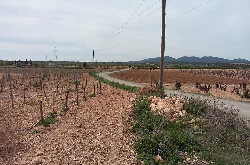 Urbanizable Programado en venta  en Calle Poligono Numero Tres Caudete De Las Fuentes Valencia