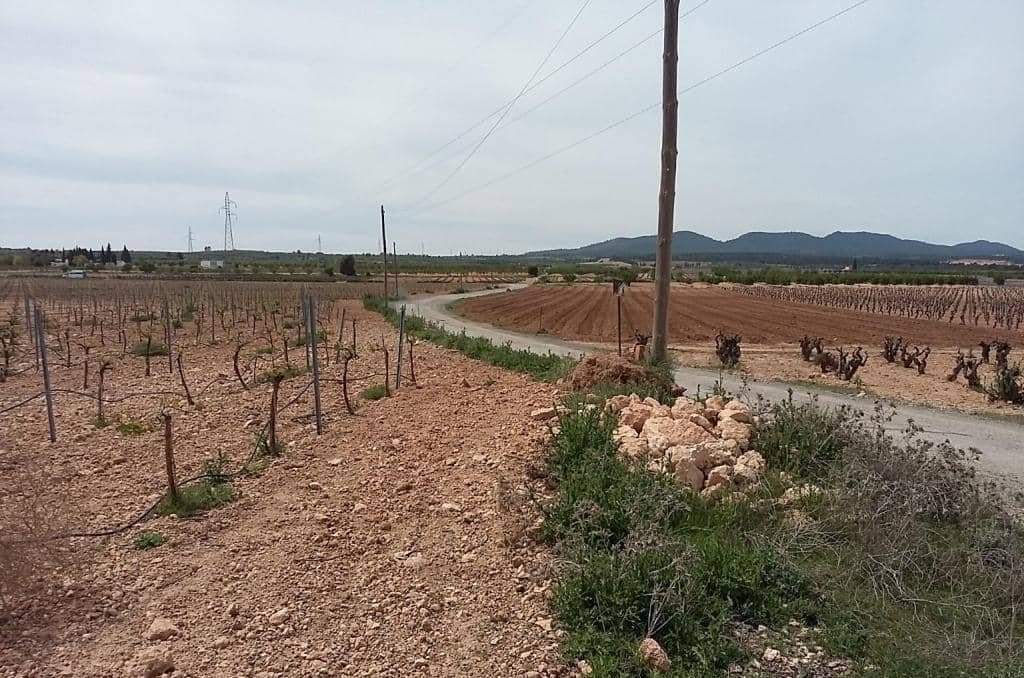 Urbanizable Programado en venta  en Calle Poligono Numero Tres Caudete De Las Fuentes Valencia