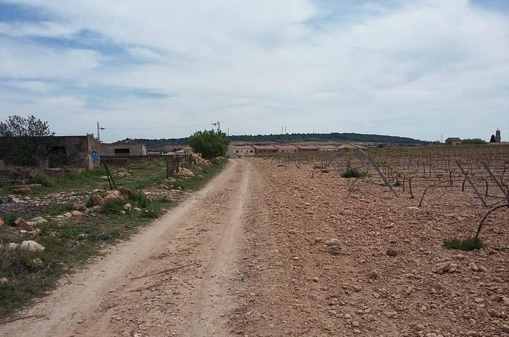 Urbanizable Programado en venta  en Calle Poligono Numero Tres Caudete De Las Fuentes Valencia