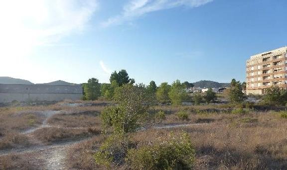 Suelo otros Olleria l