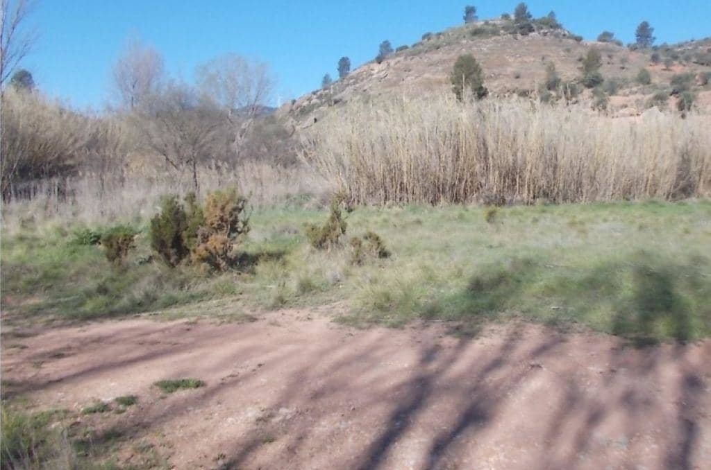 No Urbanizable Rstico en venta  en Calle Fuente Del Sol Jarafuel Valencia