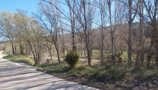 No Urbanizable Rstico en venta  en Calle Fuente Del Sol Jarafuel Valencia