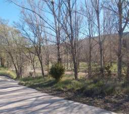 No Urbanizable Rstico en venta  en Calle Fuente Del Sol Jarafuel Valencia