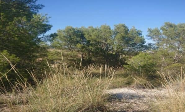 Urbano Solar en venta  en Calle La Parroquia-Zarzilla De Ramos Lorca Murcia