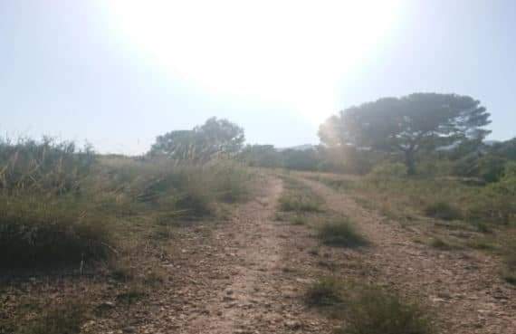Urbano Solar en venta  en Calle La Parroquia-Zarzilla De Ramos Lorca Murcia