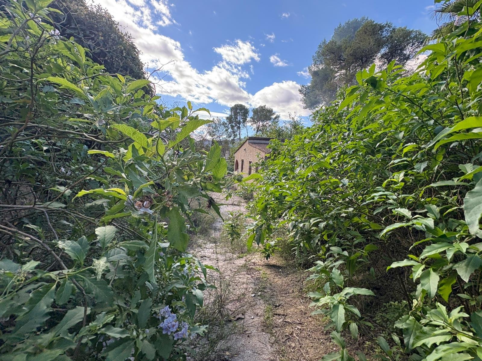 Chalet en venta en Xàtiva, Valencia