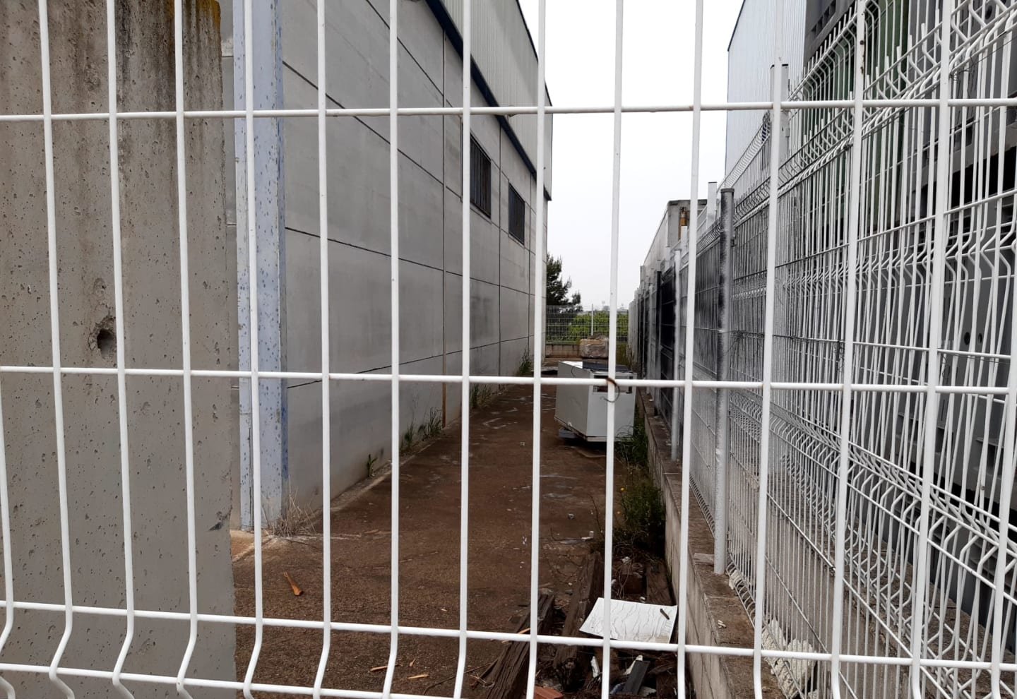 Nave en C de Lassut, Senyera Valencia