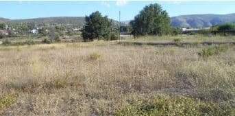 No Urbanizable (Rústico) en venta  en Avenida Del Llombo, Ontinyent, Valencia
