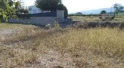 No Urbanizable (Rústico) en venta  en Avenida Del Llombo, Ontinyent, Valencia