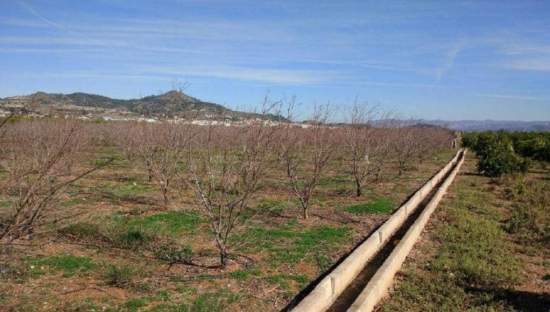 No Urbanizable Rstico en venta  en Partida Doce Las Xtiva Valencia