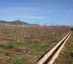 No Urbanizable Rstico en venta  en Partida Doce Las Xtiva Valencia