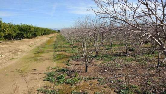 No Urbanizable Rstico en venta  en Partida Doce Las Xtiva Valencia