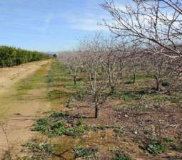 No Urbanizable Rstico en venta  en Partida Doce Las Xtiva Valencia