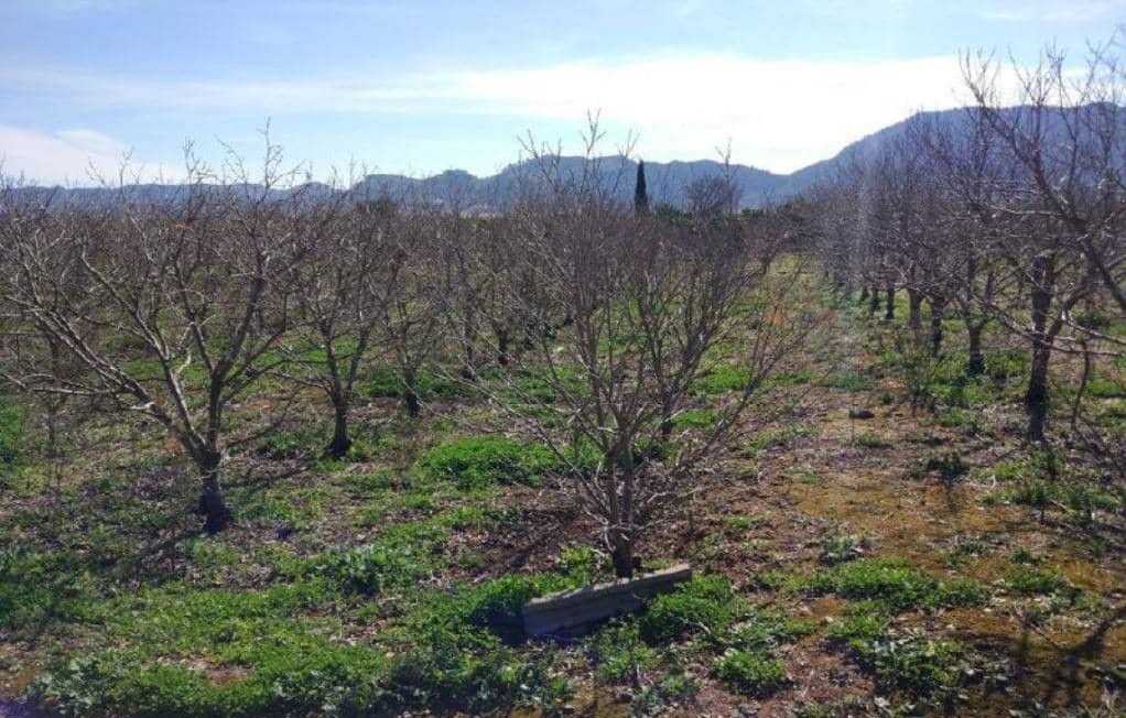No Urbanizable Rstico en venta  en Partida Doce Las Xtiva Valencia