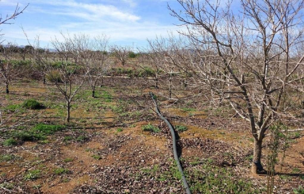 No Urbanizable Rstico en venta  en Partida Doce Las Xtiva Valencia