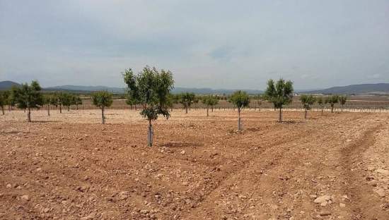 Urbanizable Programado en venta  en Pasaje Cerca La Caudete De Las Fuentes Valencia