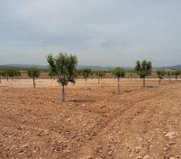 Urbanizable Programado en venta  en Pasaje Cerca La Caudete De Las Fuentes Valencia